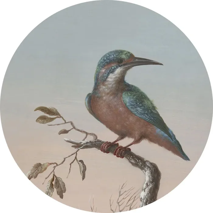 mural redondo autoadhesivo pájaro en rama rojo atardecer de ESTAhome – 159017