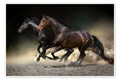 Mustang gallop Editors Choice