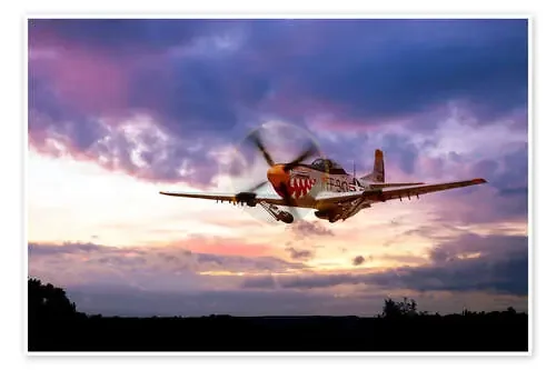 Mustang Scramble de airpowerart
