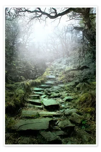 Mystical stairs de Nadine Conrad