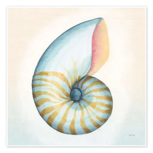 Nautilo de Elyse DeNeige Wild Apple Graphics