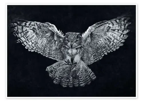 Night Flight of The Owl de Christian Klute