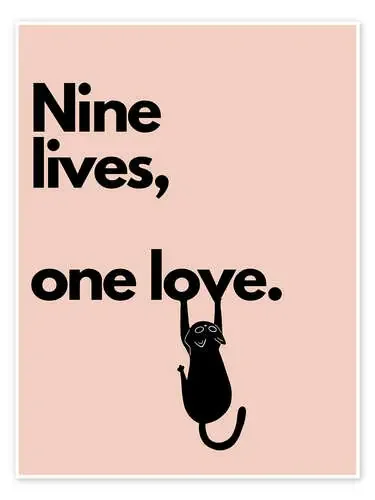 Nine lives, one love de Typobox Editors Choice