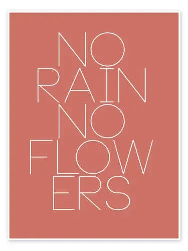 No Rain No Flowers de Typobox Editors Choice