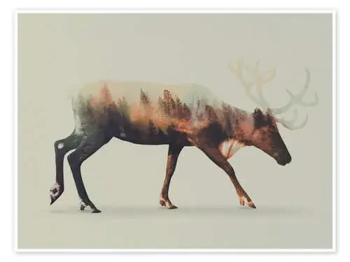 Norwegian Woods Reindeer de Andreas Lie