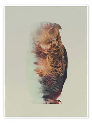 Norwegian Woods The Owl de Andreas Lie