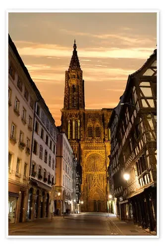 Notre Dame de Estrasburgo Editors Choice
