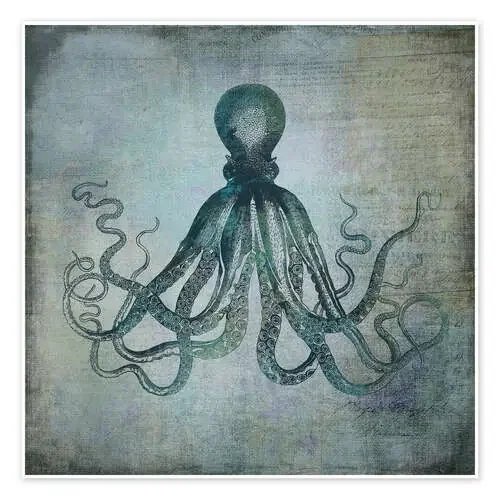 Octopus de Andrea Haase