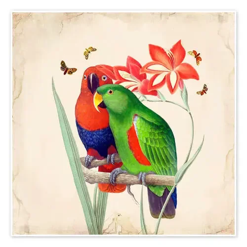 Oh My Parrot I de Mandy Reinmuth