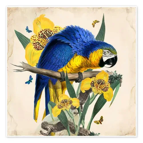 Oh My Parrot IX de Mandy Reinmuth