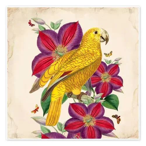 Oh My Parrot V de Mandy Reinmuth