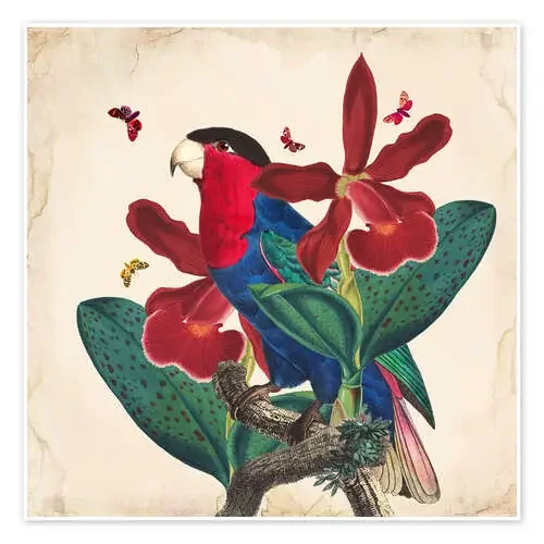 Oh My Parrot VII de Mandy Reinmuth