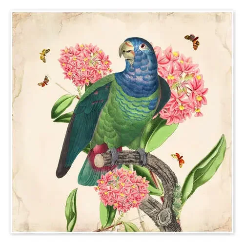 OhMyParrot IV de Mandy Reinmuth