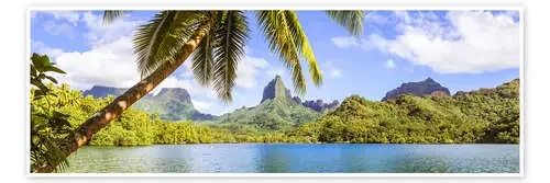 Opunohu Bay, Moorea, Tahiti de Matteo Colombo