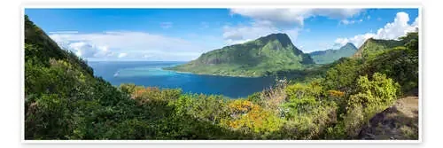Opunohu Bay on Moorea, French Polynesia de Jan Christopher Becke