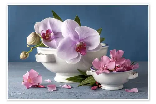 Orquídeas en cuencos de porcelana de Simon Kayne MGL Licensing