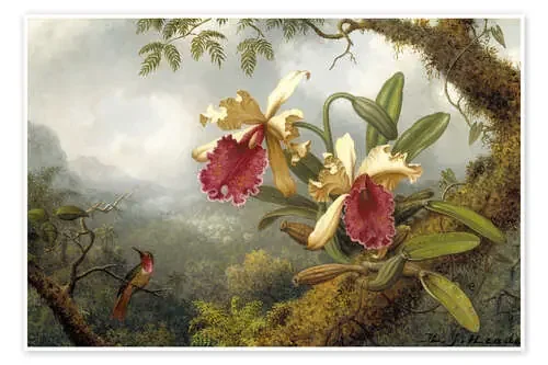 Orquídeas y colibrí de Martin Johnson Heade Master Collection