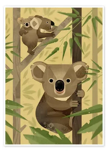 Oso Koala de Dieter Braun