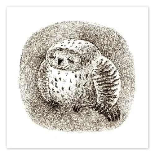 Owl is sleeping de Kidz Collection Editors Choice