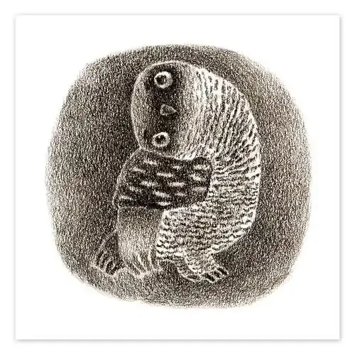 Owl to the left de Kidz Collection Editors Choice