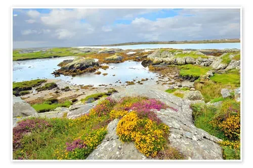 Paisaje irlandés con flores Editors Choice