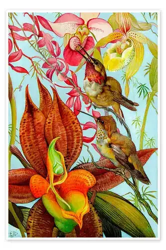 Pájaros exóticos en una orquídea Master Collection