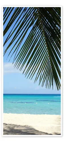 Palm Beach Editors Choice