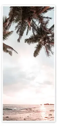 Palm Trees and Sea Editors Choice