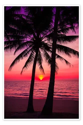 Palmeras y atardecer tropical Editors Choice