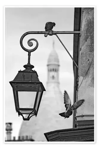 Paloma en Montmartre con Sacre Coeur Editors Choice