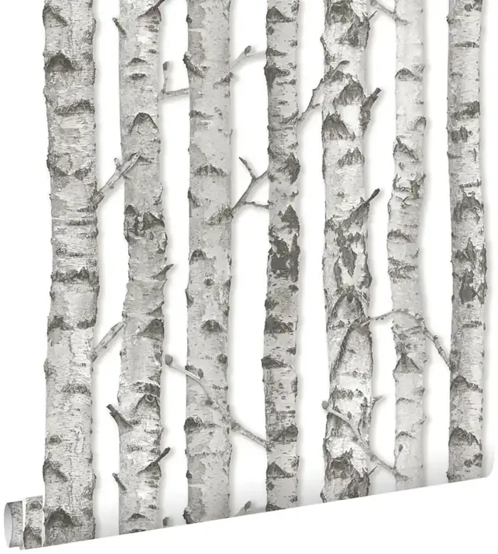 papel pintado troncos de abedul gris claro cálido de ESTAhome – 138889