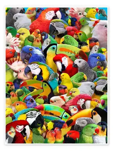 Parrot Heads de Lewis T. Johnson MGL Licensing