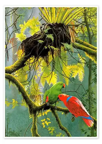 Parrots Master Collection