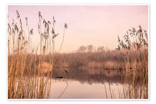 Pastel colored lake Editors Choice