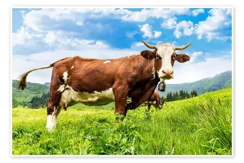 pastures luck Editors Choice