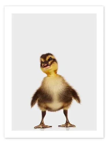 Patito feliz de Animal Kids Collection Editors Choice