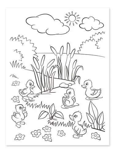 Patitos Editors Choice