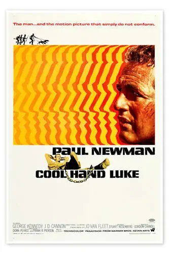 Paul Newman – La leyenda del indomable Everett Collection