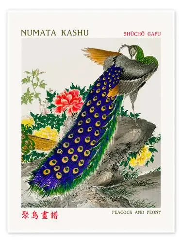 Peacock & Peony de Numata Kashu Exhibition Posters