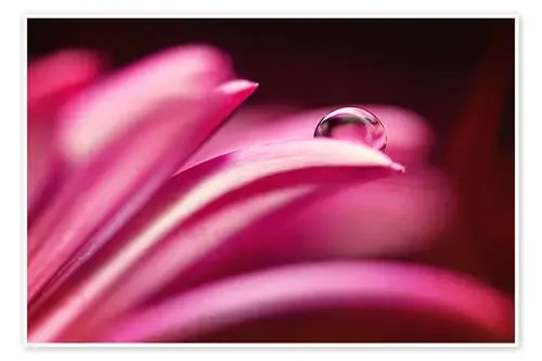 pearl flowers de Dirk Driesen