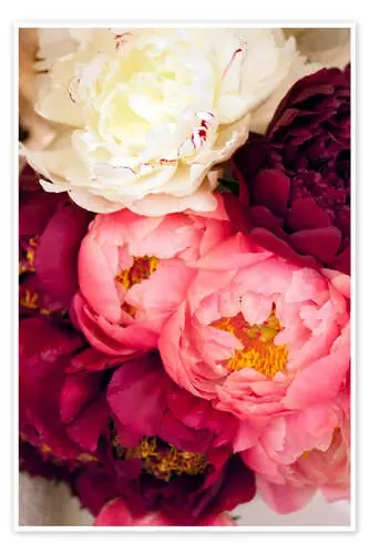 Peonias de Maria Mosolova Science Photo Library