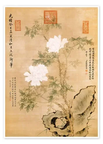 Peonies and Rock de Chinese School Bridgeman Images