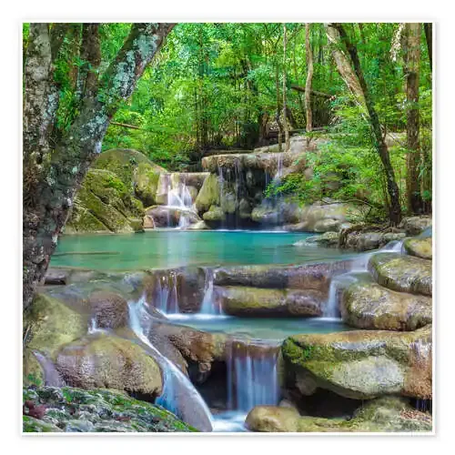 Pequeña cascada en el bosque Editors Choice