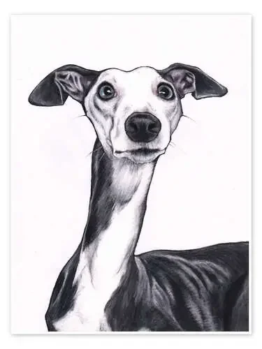 Perro en blanco y negro de Jim Griffiths