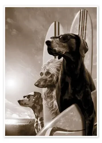 Perros surferos de Garry Walton MGL Licensing