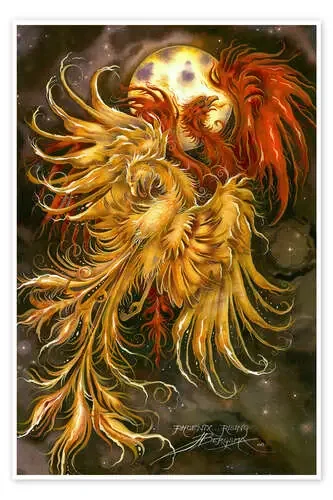 Phoenix rising de Jody Bergsma MGL Licensing