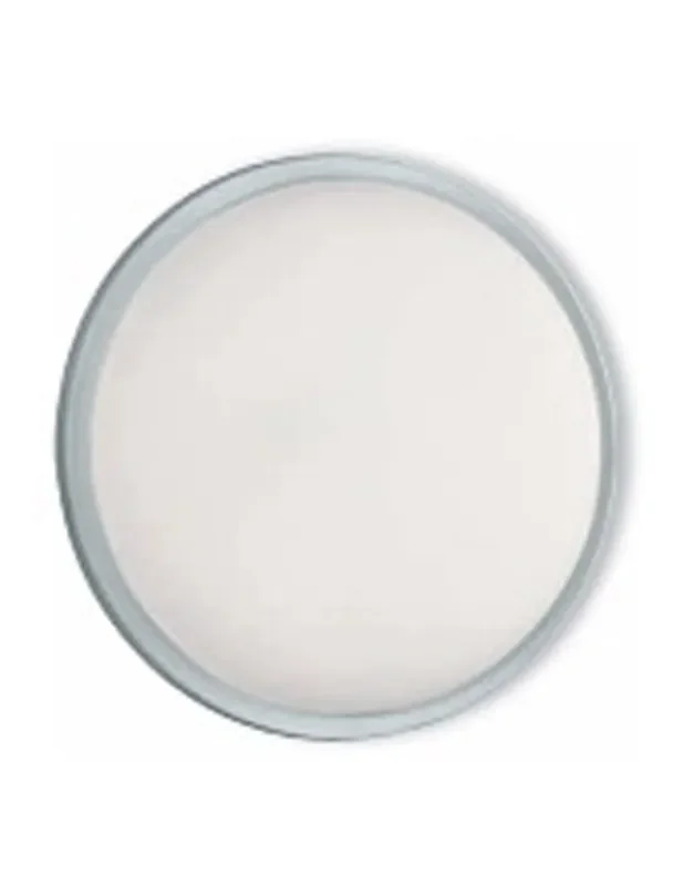 Plafón Plata de Exterior Led con IP54