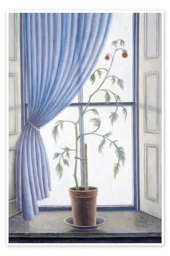 Planta en la ventana, 2003 de Ruth Addinall Bridgeman Images