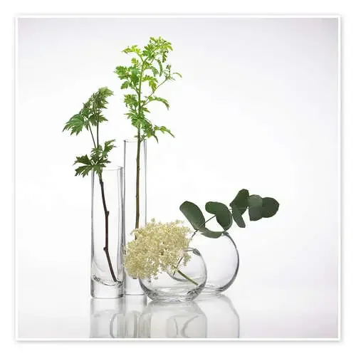 Plants in glass vases Science Photo Library