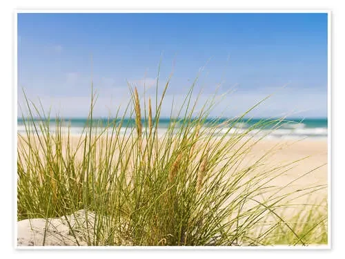 Playa con dunas de arena Editors Choice